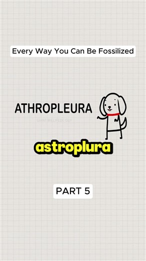 #cartoon #anime #comics #animation #fyp | cartoon