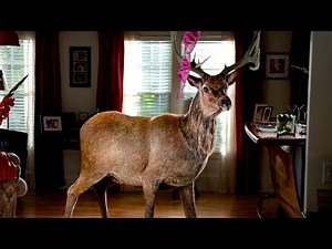 Deer At Home | Grown Ups 2 (Adam Sandler)