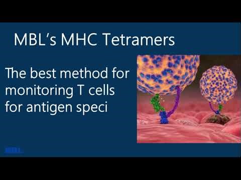 【MHC Tetramer】Webinar Short ver. 【MBL】
