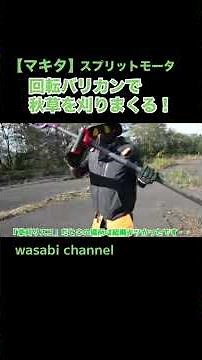 【マキタ】回転バリカンで秋草を刈りまくる【スプリットモータ】 #マキタ沼 #農業 #現代農業 #草刈り #マキタ #makita