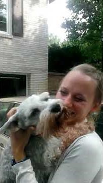 Dog passes out from overwhelming joy | #CaseyTheDog