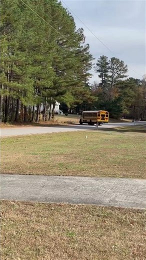 Bluebird vision engine, fan going loud ￼