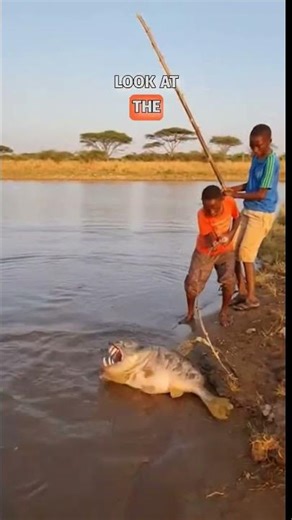 🐟 Strange Fish Creature Pulled From the Riverbank #shorts