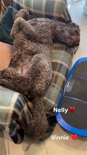 Happy National Pet Day!!