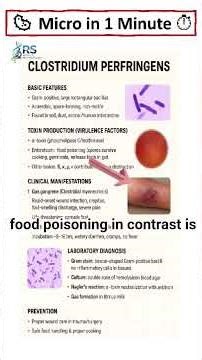 Clostridium perfringens : Gas Gangrene & Food Poisoning