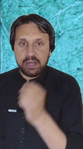 Acrylamide in Food Above 120°C | Cancer Risk