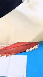 Japan Fish Print Technique | FactSheetor