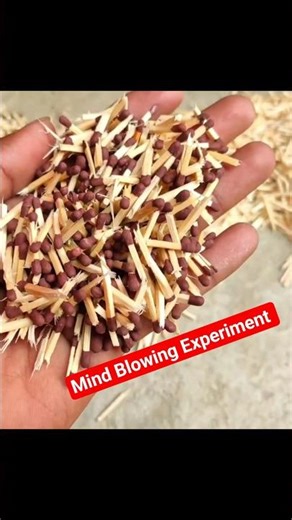 Matches Chain Reaction Effect Experiment 😮😮😮 #shorts