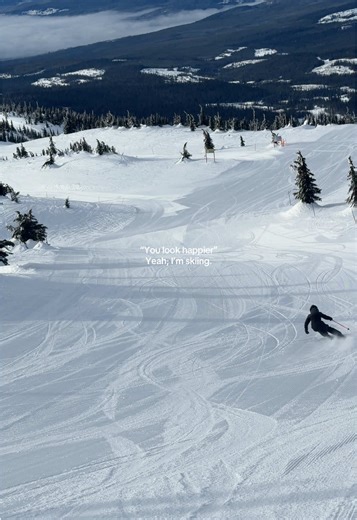 #snow #ski #winter #travel #view