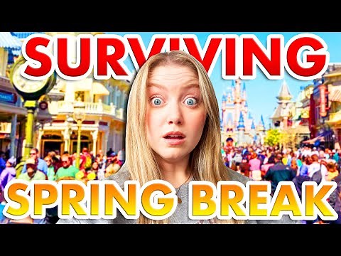How to SURVIVE Spring Break in Disney World