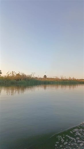 فيديوهات أنشأها ال فتلاوي 🌟 (@csv.61) باستخدام الصوت الأصلي - لحــ♡َِـن🎶