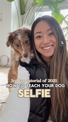 Ayce & Aria | Amanda & David 🐾🐶 on Instagram: "3RD MOST POPULAR TRAINING TUTORIAL OF 2025: HOW TO TEACH HUG SELFIE 🐶 Step 1. Grab your pup, a training pouch & some high reward treats! Step 2. Throw a treat behind you, and quickly use another treat to lure your dog to place their paws on your shoulder. Step 3. Increase the duration of the “hug” position by waiting a few seconds before rewarding. You can hold a treat up to teach your dog to look up. Step 4. Grab a phone and take a selfie! You m