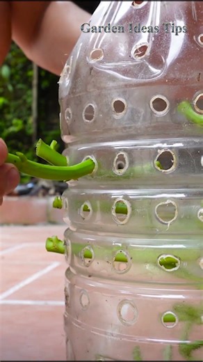 garden landscaping ideas