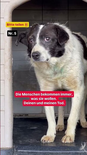 Müssen wir zurückbleiben?😥