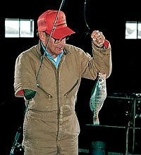 D/FW's Indoor Crappie Hotspots - Game & Fish