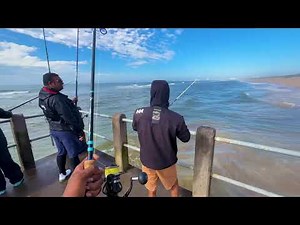 Epic Shad and Salmon Frenzy on the Pier | Ultra Light Fishing Adventure