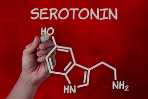 The main functions and effects of the hormone serotonin
