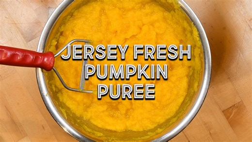 Stop using canned pumpkin puree from the store and start making your own using Jersey Fresh pumpkins! 🎃 🖤🧡Pro-tip: make sure to save this recipe because it may come in handy for some more recipes we post during Jersey Fresh Pumpkin Week! 🧡🖤 Check out the full recipe here: https://findjerseyfresh.com/JerseyFresh/recipes/jersey-fresh-pumpkin-puree | Jersey Fresh