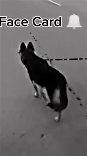 Attack mod on z+🗿