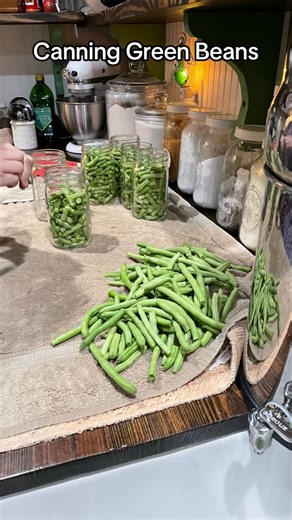 Canning a bushel of green beans today!#mountainhearthomestead #homestead #countryliving #homesteading #fblifestyle | Mountain Heart Homestead