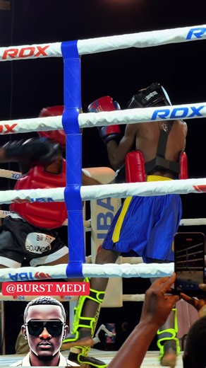 Professional Boxing Techniques and Tips