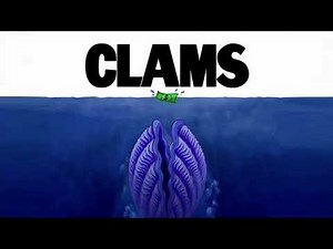 Clams (Spongebob Version Title Card) (Season 15-16 style)