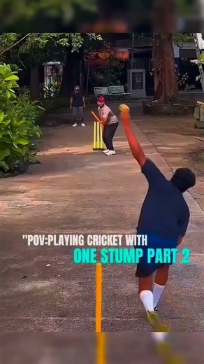 One Stump Challenge Part 2 🏏 #cricket