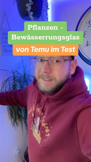 14K views · 63 reactions | Pflanzen - Bewässerrungsglas von Temu im Test  Anzeige | Zum finden den Code dnn2573 in die Suchleiste eingeben und für Neukunden für nur 1,17€ #Pflanzen #bewässern #temu #testen | Tutich | Facebook