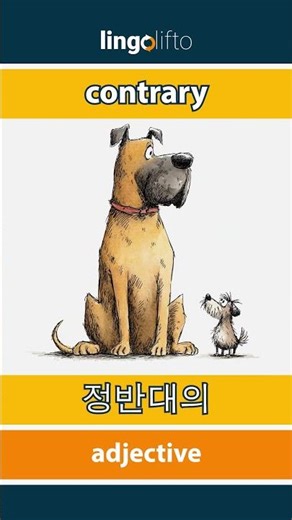 🇬🇧🇰🇷 contrary - 정반대의 : learn English : 영어를 배우자 : vocabulary builder