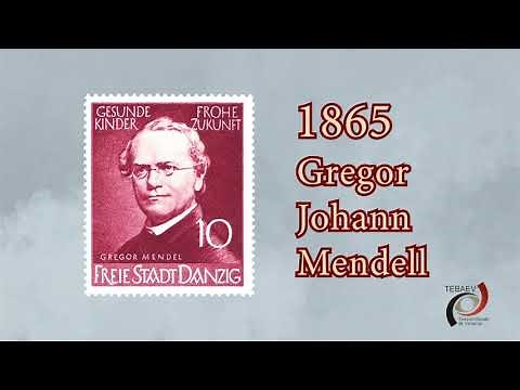 Conceptos básicos de la Genética.