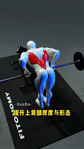 倒三角背部训练指南：高效的背部组合训练方式与动作细节教学（健身小白必看）