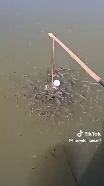 Master the Art of Catching Fish: Tips and Techniques