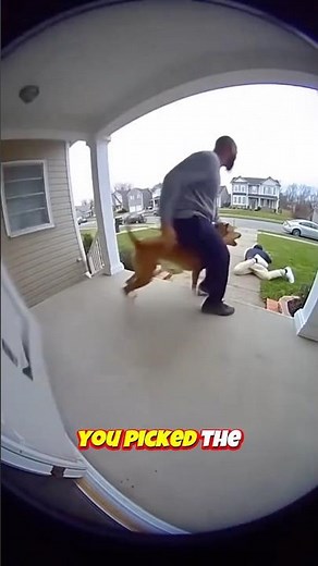 He Set a Trap for the Package Thief… Watch What Happens 😳