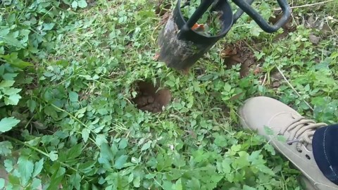 Sod Plugger, Bulb Planter with Long Handle and Serrated Base Garden Tool, Bulb Transplanter Also Grass Plug Tool for Digging Holes to Plant Tulips, Iris, Daffodils