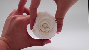 Custom Preserved Real Dark Blue Rose with Your Personalized Text, Logo, Icon - The Most Extraordinary Flower Gift Box for Birthday, Anniversary, Valentine's, Mother's Day, Just Because