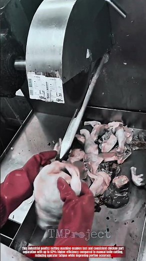 Innovative Poultry Cutting Processing Machine: Best Precision Chicken Separation Action
