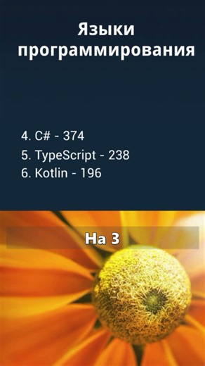 Tester Skills. Programming Languages ​​for Testers. November 2025.