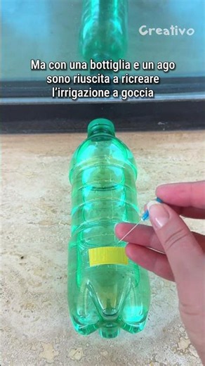 Innaffiare le piante mentre sei in vacanza non costa niente 😁🌱