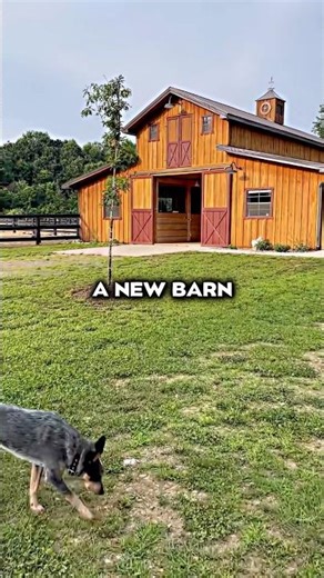 How The Amish Build Barns In 36 Hours