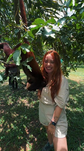 Viaja con garantías y seguridad al Amazonas 💚 Vive una aventura mágica e inigualable, rodeado de naturaleza, cultura y experiencias que recordarás para siempre. Con nosotros, cada momento está pensado para que disfrutes con tranquilidad, confianza y emoción. #amazonas #tour #fyp #viaje #selva