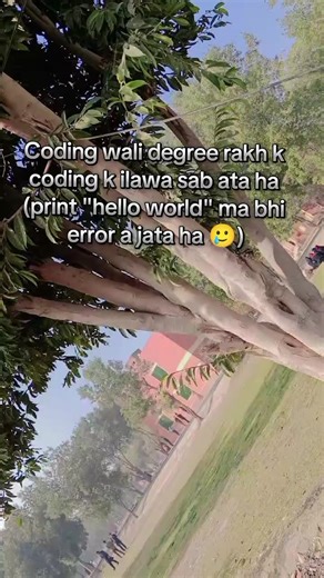 Struggles of Coding Degrees in a Tech World