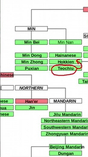 Basic facts about the Teochew language
