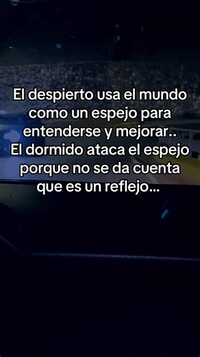 El espejo y la conciencia: ¿Por qué el despierto usa el mundo como reflejo?
