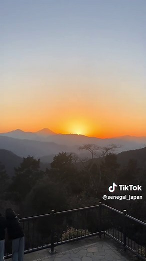 高尾山の美しさと山登りの体験
