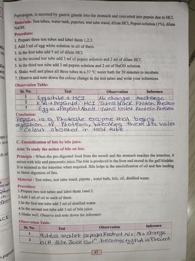 11th Biology Practical Notebook Pratical 10
