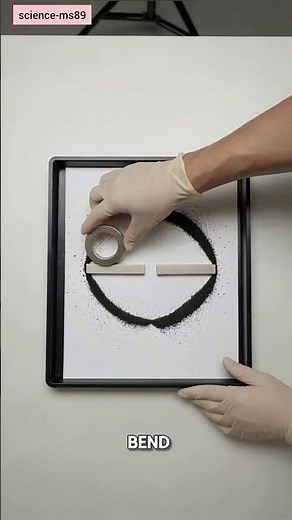 magnetic field art using iron filings and magnets