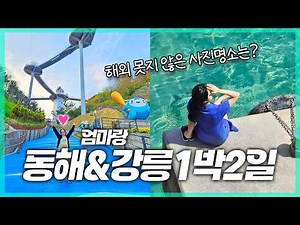 강원도 동해 강릉 1박2일 여행코스, 부모님과 국내여행 추천 #동해명소 #묵호여행 #도째비골
