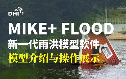 MIKE FLOOD模型介绍与操作展示