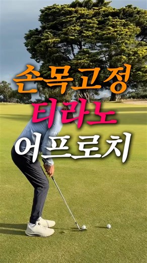 티라노처럼 짧게 어프로치! #골프 #golf #golftips #golfswing #골프팁 #어프로치 #골프스윙