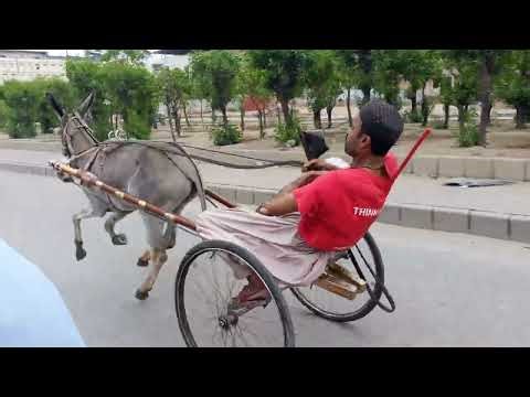 Donkey Cart Race KHI Scrape Amir V's Jacky Wala please Subscribe Like Share Now 💖💖👍👍🕊️💖💖